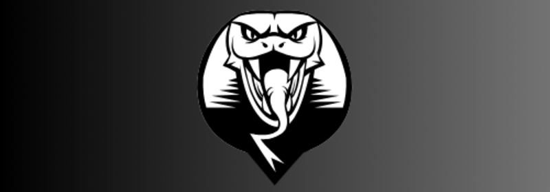 Black Fly Bats logo